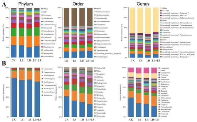 全長(zhǎng)微生物多樣性和代謝組聯(lián)合研究根際土壤微生物