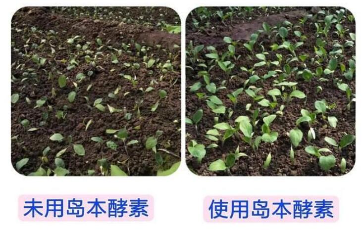 微生物肥料的功能有哪些？