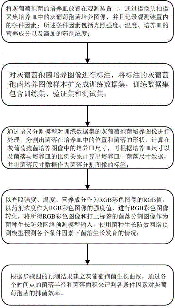 基于機器視覺的灰葡萄孢菌防效分析方法及裝置