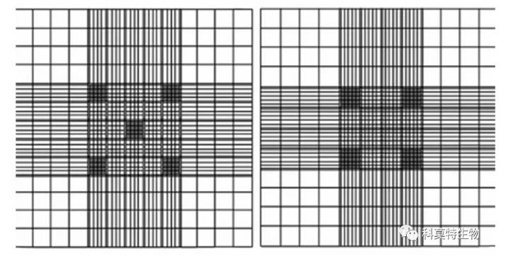 測(cè)定細(xì)胞生長(zhǎng)曲線最常用的方法，細(xì)胞計(jì)數(shù)法怎么鋪板如何換算