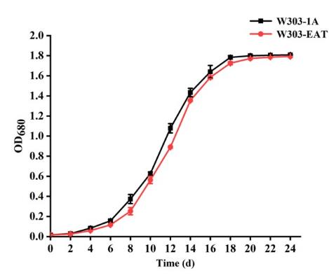 EAT基因低度酒酵母菌株對乙酸乙酯產(chǎn)生和香氣產(chǎn)生特性的影響