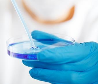 表面表達(dá)非洲豬瘟IrrE蛋白的大腸桿菌重組菌培育方法與生長曲線繪制