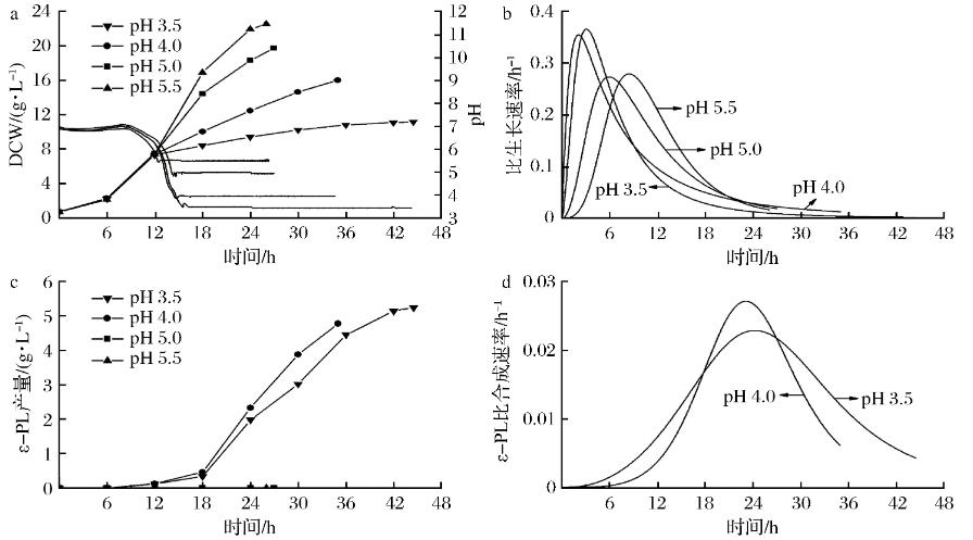 不同pH和菌體比生長速率對S.albulusM-Z18合成ε-PL的影響