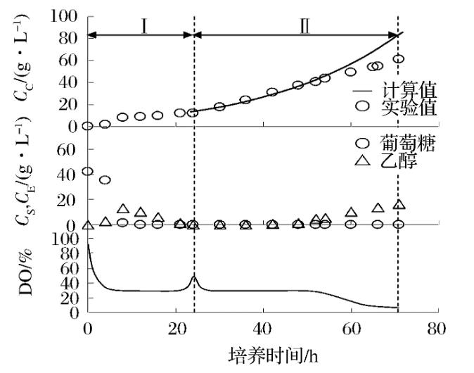 抗凍酵母生產速度與μ減小速度、累計補料體積有關嗎？