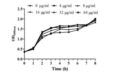 檸檬醛的新用途——制備沙門氏菌滑動運動抑制劑