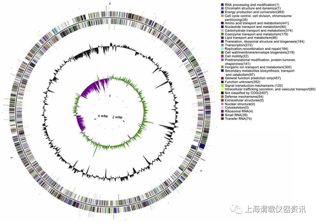 全自動生長曲線分析儀@太空飛行的肺炎克雷伯菌株生長曲線圖