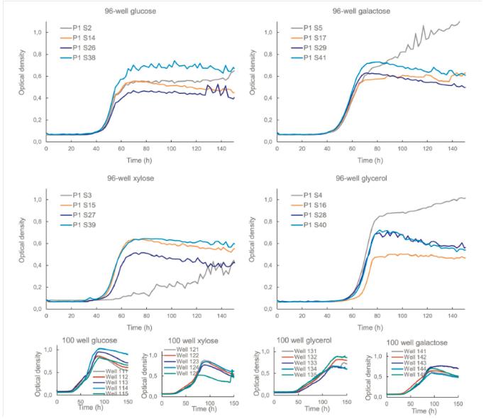 生長(zhǎng)曲線分析儀應(yīng)用：海洋絲狀真菌蜂窩平板培養(yǎng)與碳源生長(zhǎng)曲線測(cè)量