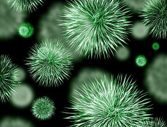 微生物生長(zhǎng)曲線的概念、階段、特點(diǎn)、在生產(chǎn)實(shí)踐中的應(yīng)用