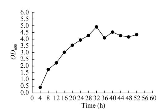 耐煙堿木質(zhì)素優(yōu)勢(shì)降解菌YP-2023-9生長(zhǎng)曲線及篩選