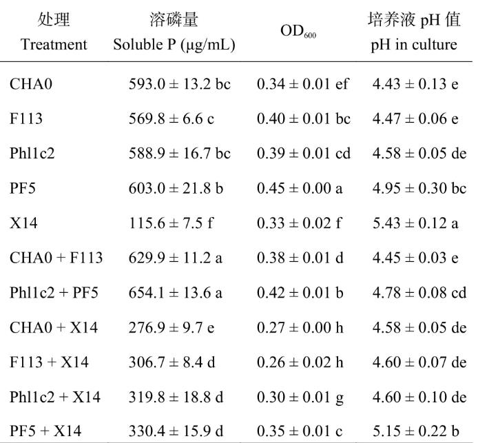 革蘭氏陰性菌與陽性菌溶磷能力評判