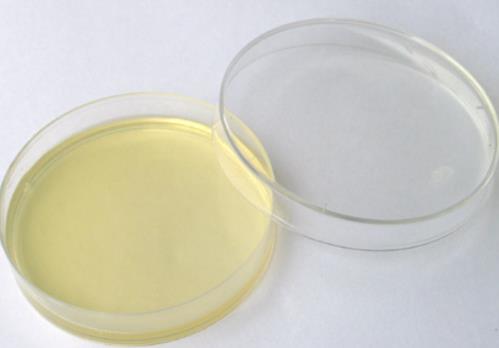 實(shí)驗(yàn)室微生物培養(yǎng)方法|微生物培養(yǎng)技術(shù)開(kāi)發(fā)