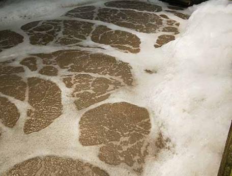 ?高濃度的含鹽廢水對(duì)微生物的影響