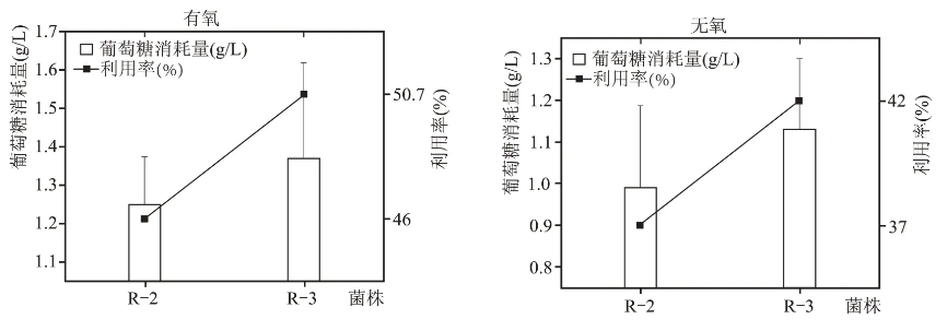 老窖泥篩選分離的6株乳酸利用菌培養(yǎng)、發(fā)酵性能、生長(zhǎng)范圍（二）