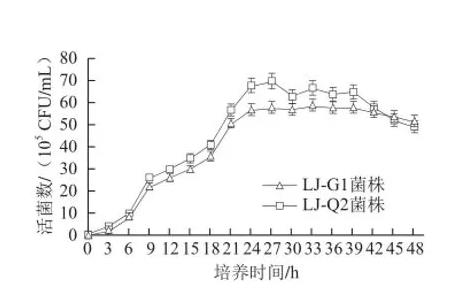 素食者產(chǎn)雌馬酚腸道菌生長(zhǎng)規(guī)律及生長(zhǎng)條件優(yōu)化（二）