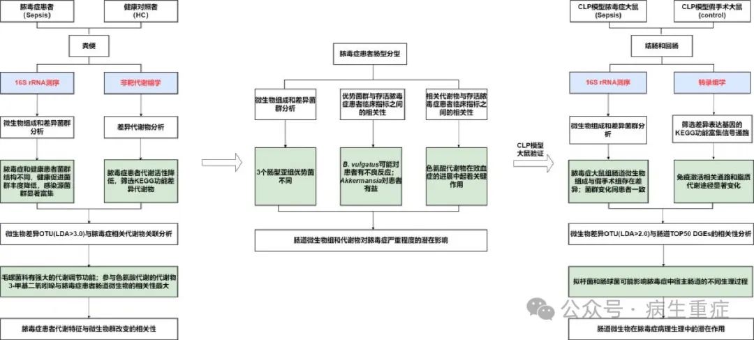 闡明膿毒癥中腸道微生物群和代謝物的組成及其與疾病進展的關系（一）