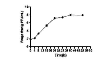 噬菌體SRB7757可明顯減弱或抑制硫酸鹽還原菌腐蝕