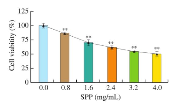 不同劑量SPP對人結(jié)腸癌DLD-1細(xì)胞能量代謝的影響（一）
