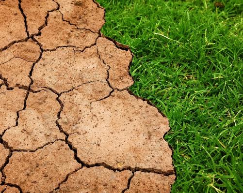 ?土壤微生物學(xué)研究熱點和前沿主要集中在哪些方面