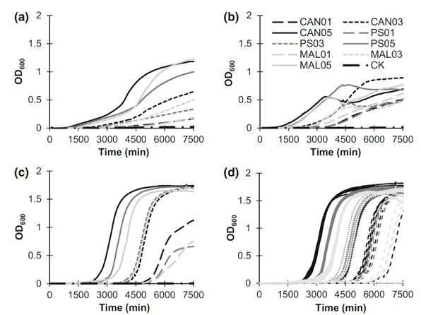 清酒假絲酵母菌CPA-1的生長曲線及影響因素