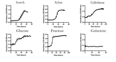 牛月形單胞菌分離培養(yǎng)方法及生長曲線繪制