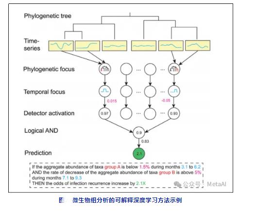?未來人工智能在微生物組的應(yīng)用潛力與用途