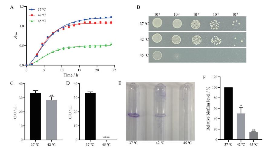 不同溫度、pH值及H?O?作用下減毒沙門氏菌生長(zhǎng)曲線及細(xì)菌生物膜的形成——摘要、材料與方法