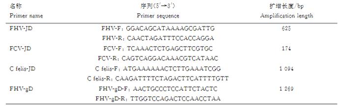 貓皰疹病毒Ⅰ型毒株HRB2019分離培養(yǎng)、增殖與鑒定方法（一）