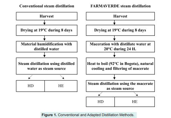 兩種常規(guī)蒸餾方法獲取的百里香、迷迭香精油及水餾液分子含量的變化（一）