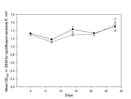 環(huán)丙沙星殘留虛驚一場？微生物生長曲線繪制出堆肥安全圖譜
