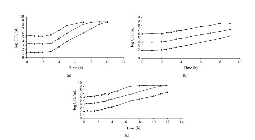 不同數(shù)學模型在預測細菌生長曲線中的性能評估?（四）