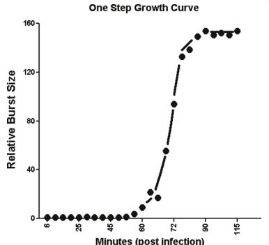 志賀氏菌Vi樣噬菌體SboM-AG3與沙門氏菌噬菌體ViI的高度基因組同源性（五）