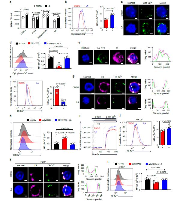 一段長達14天的生長曲線，揭示結(jié)核分枝桿菌免疫逃逸新機制（二）
