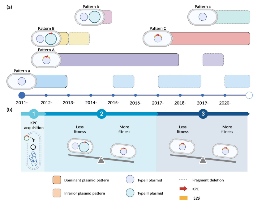 碳青霉不同濃度下?產(chǎn)肺炎碳青霉烯酶的銅綠假單胞菌分離株的生長曲線