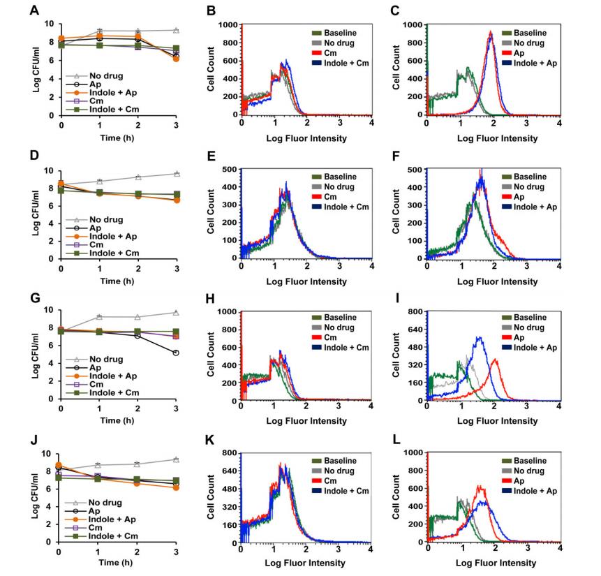 生長曲線分析儀監(jiān)測下吲哚對惡臭假單胞菌 ΔttgABC 突變體抗生素耐受的影響（一）