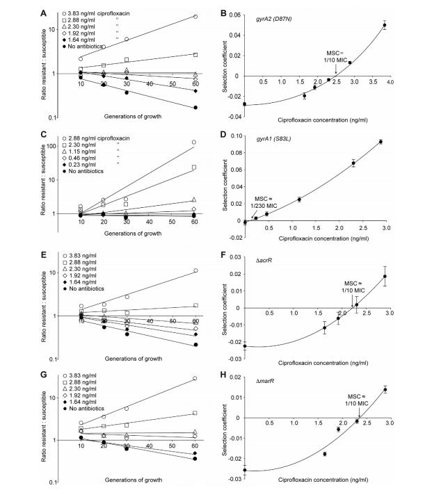 高靈敏度競(jìng)爭(zhēng)實(shí)驗(yàn)：亞最小抑制濃度下耐藥菌突變體的選擇與富集（二）