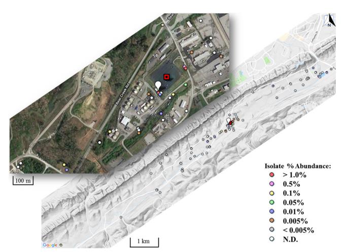 橡樹(shù)嶺保護(hù)區(qū)耐多金屬硝酸鹽還原微生物的分離與表征（五）
