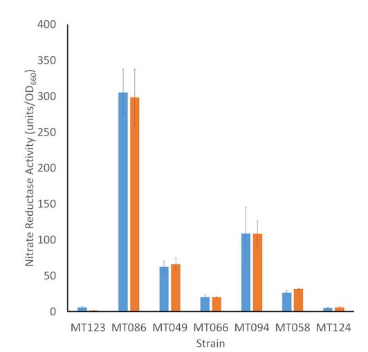 橡樹(shù)嶺保護(hù)區(qū)耐多金屬硝酸鹽還原微生物的分離與表征（四）