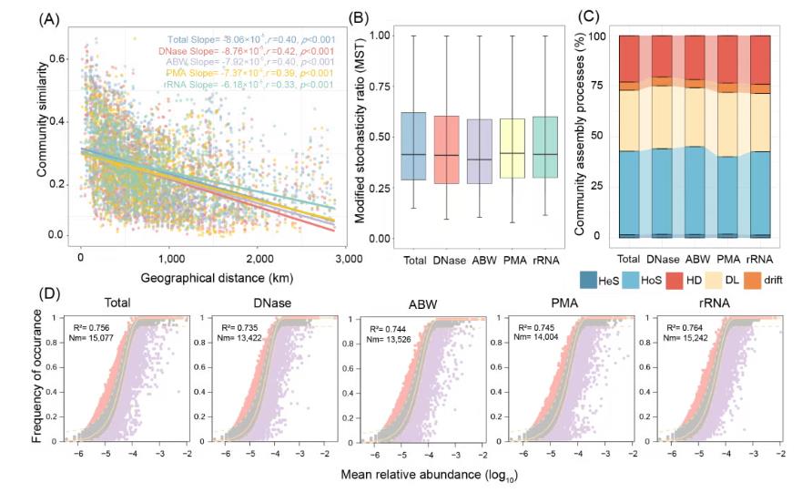 大尺度環(huán)境樣本土壤活體微生物研究方法評(píng)估與驗(yàn)證（五）