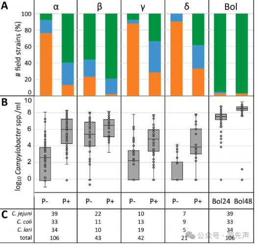 耐熱彎曲桿菌富集培養(yǎng)基選擇指南：基于FBP效應的定量比較研究